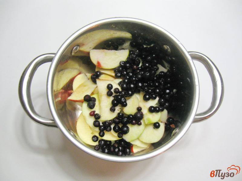 Фото приготовление рецепта: Кисель из яблок и черной смородины шаг №2