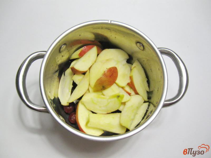 Фото приготовление рецепта: Кисель из вишен и яблок шаг №2