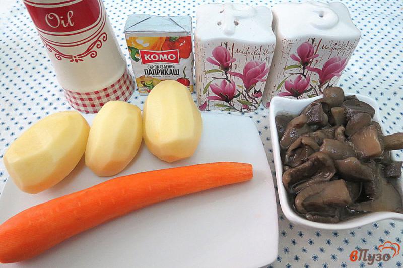 Фото приготовление рецепта: Суп с солёными маслятими и плавлеными сырками шаг №1
