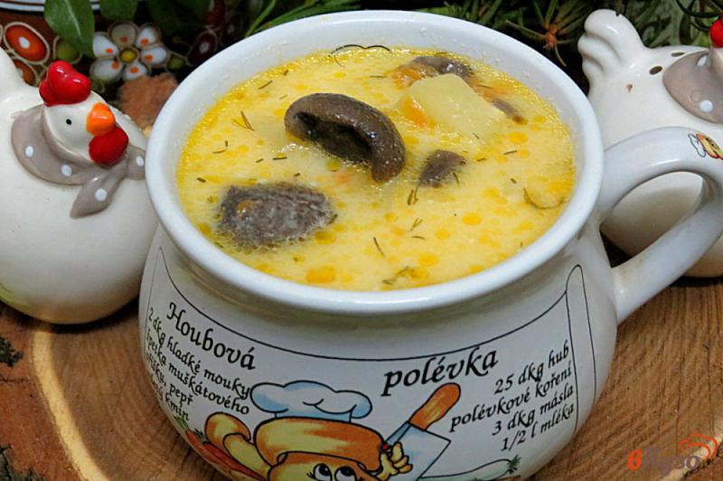 Фото приготовление рецепта: Суп с солёными маслятими и плавлеными сырками шаг №8