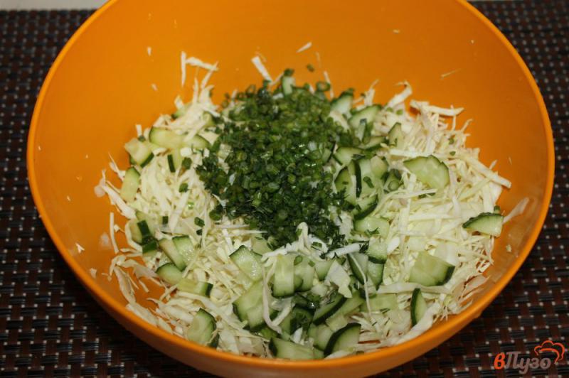 Фото приготовление рецепта: Салат из белокочанной капусты с зеленью и свежим огурцом шаг №3