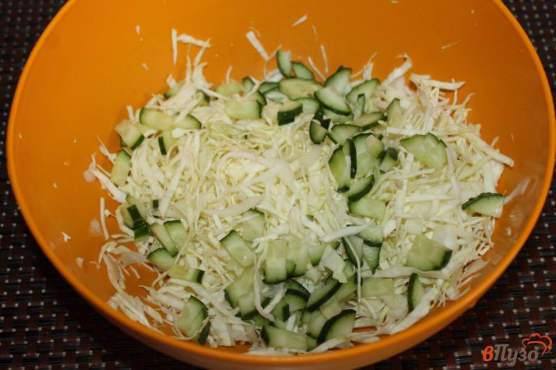 Фото приготовление рецепта: Салат из белокочанной капусты с зеленью и свежим огурцом шаг №2