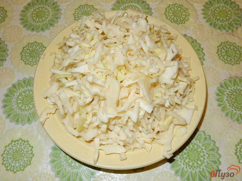 Фото приготовление рецепта: Запеканка сырно-капустная шаг №1