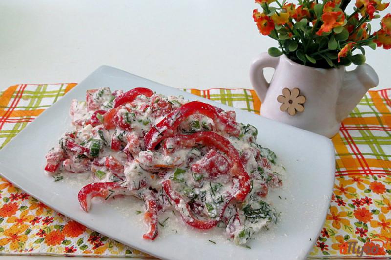 Фото приготовление рецепта: Салат из творога, помидоров и перца шаг №9