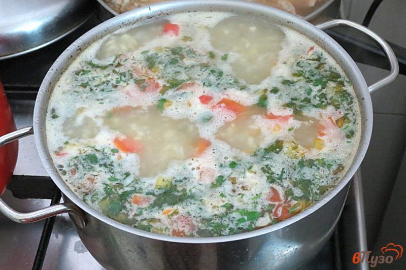 Фото приготовление рецепта: Суп с пшеном и помидорами шаг №8