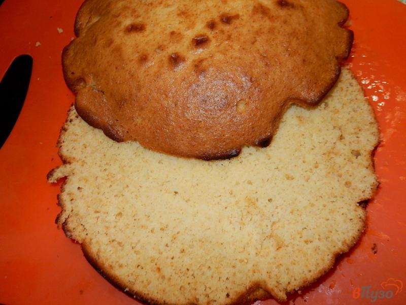 Фото приготовление рецепта: Пирог на сгущенном молоке со сметанным кремом шаг №14