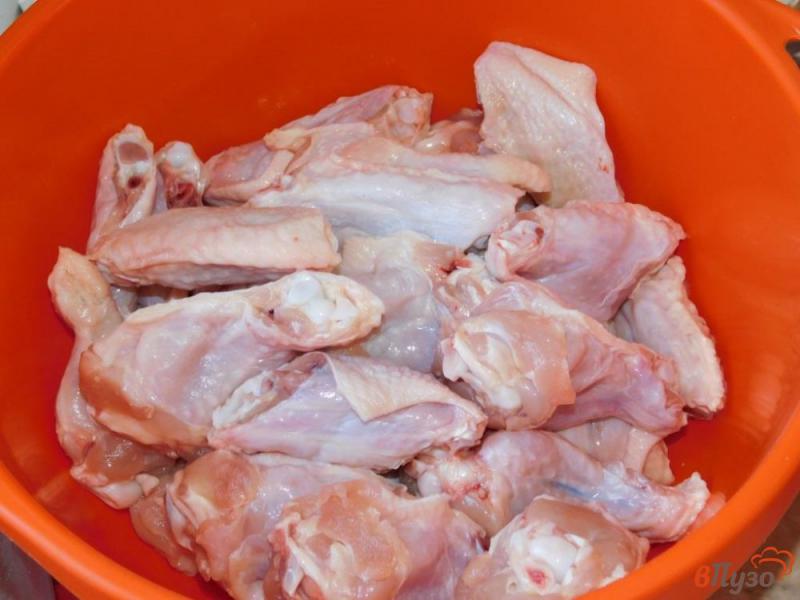 Фото приготовление рецепта: Куриные крылья в соево-горчичном соусе шаг №1