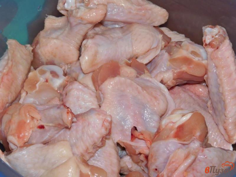 Фото приготовление рецепта: Куриные крылышки в пикантном маринаде шаг №1