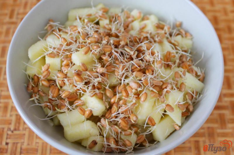Фото приготовление рецепта: Фруктовый салат с пророщенной пшеницей и медом шаг №4