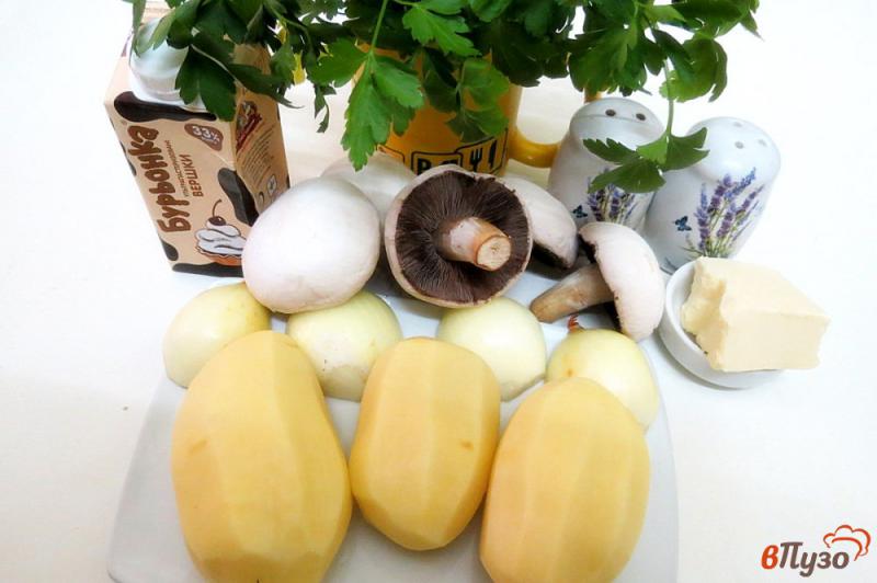 Фото приготовление рецепта: Суп пюре с картофелем и грибами шаг №1