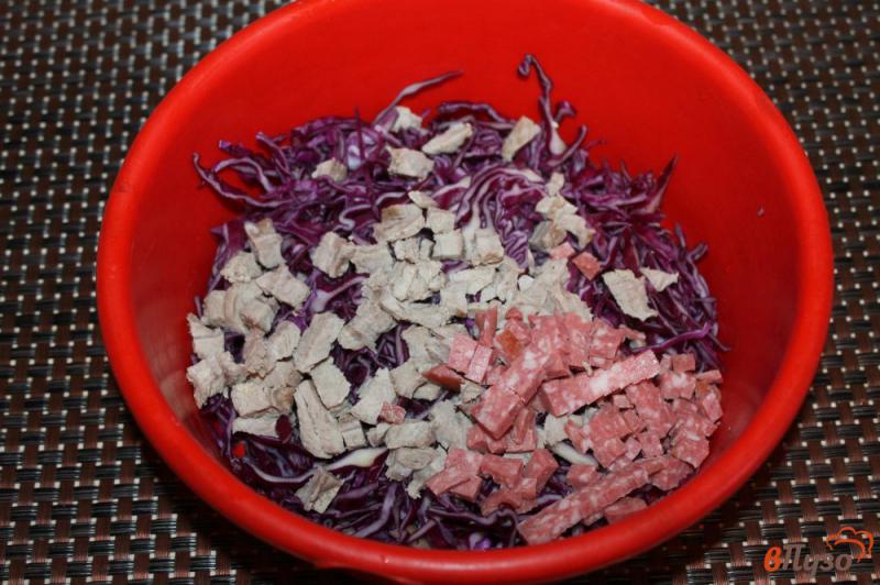 Фото приготовление рецепта: Салат из краснокочанной капусты со свининой, копченой колбасой и яйцом шаг №2