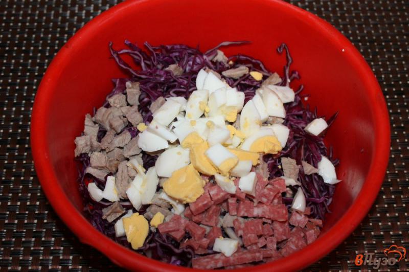 Фото приготовление рецепта: Салат из краснокочанной капусты со свининой, копченой колбасой и яйцом шаг №3