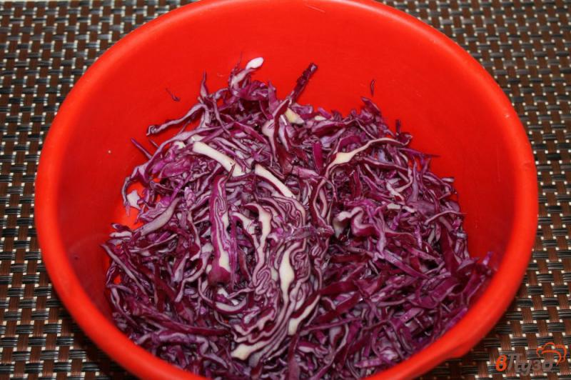 Фото приготовление рецепта: Салат из краснокочанной капусты со свининой, копченой колбасой и яйцом шаг №1