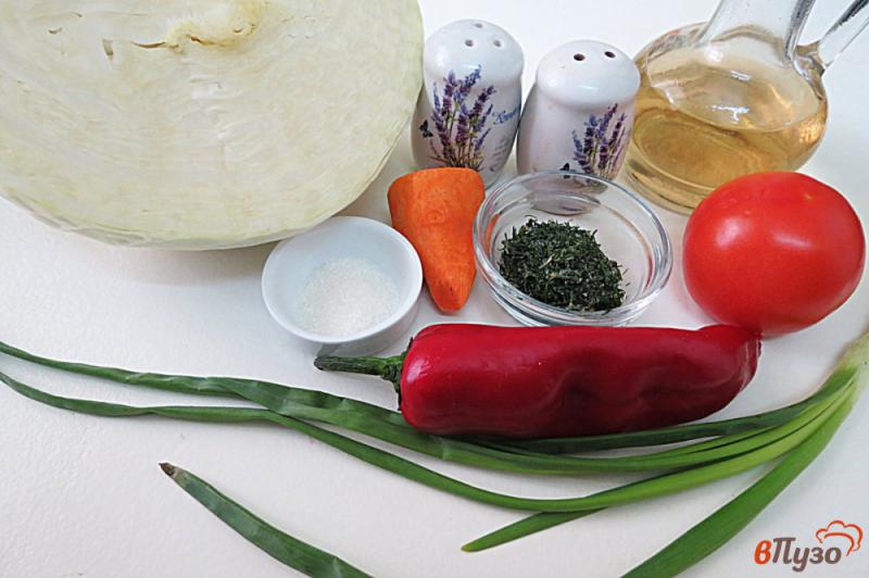 Фото приготовление рецепта: Салат из капусты, перца и помидоров шаг №1