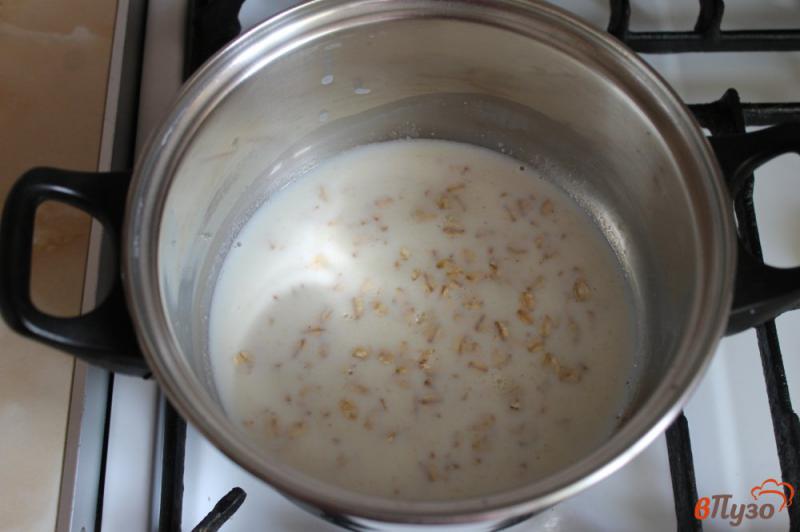 Фото приготовление рецепта: Овсянка с орешками и медом шаг №2
