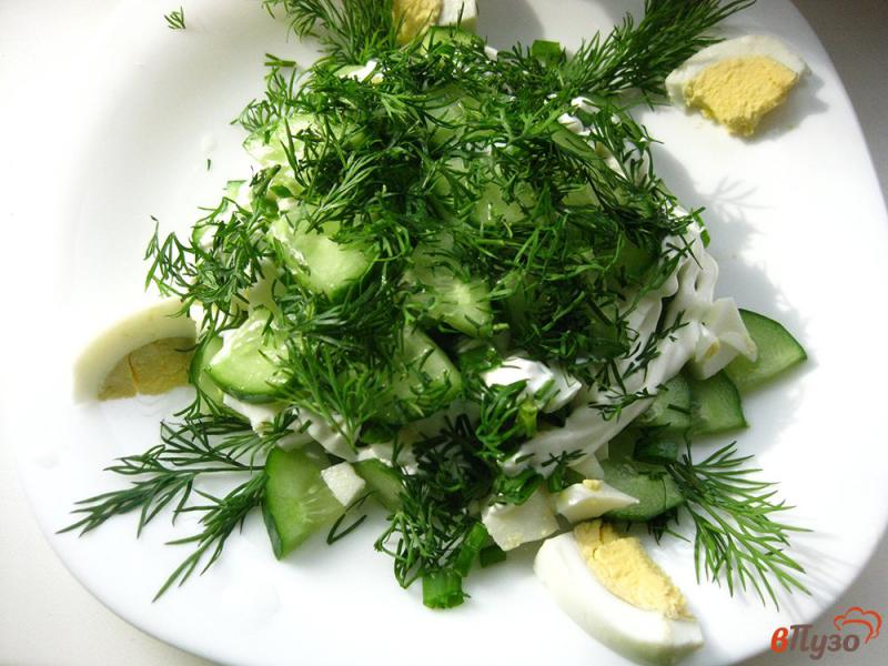 Фото приготовление рецепта: Салат весенний с огурцами шаг №8