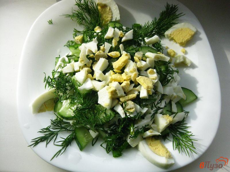 Фото приготовление рецепта: Салат весенний с огурцами шаг №9