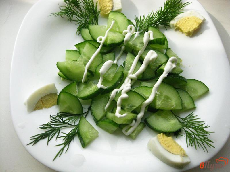 Фото приготовление рецепта: Салат весенний с огурцами шаг №6