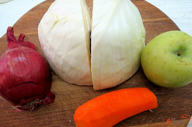 Фото приготовление рецепта: Салат из капусты, моркови и яблок шаг №1
