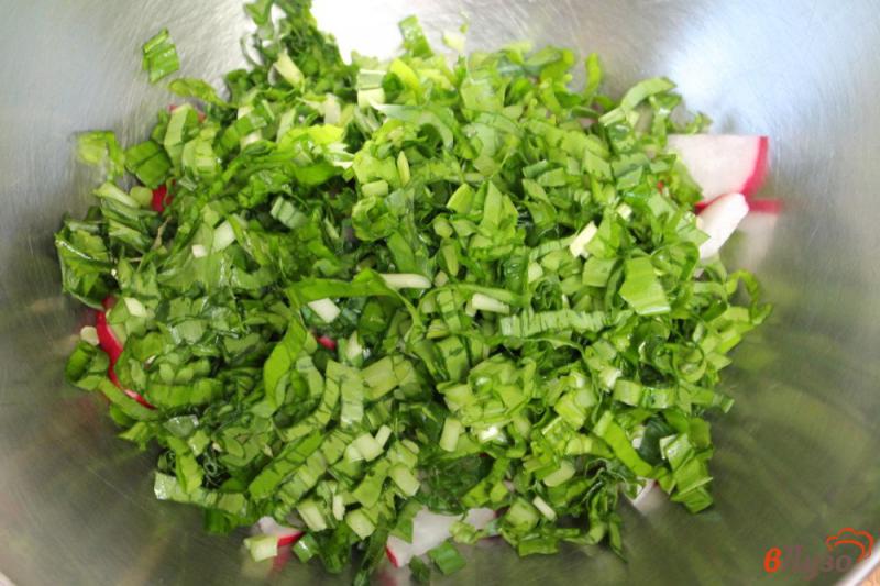 Фото приготовление рецепта: Салат из редиса с зеленью и сыром шаг №3