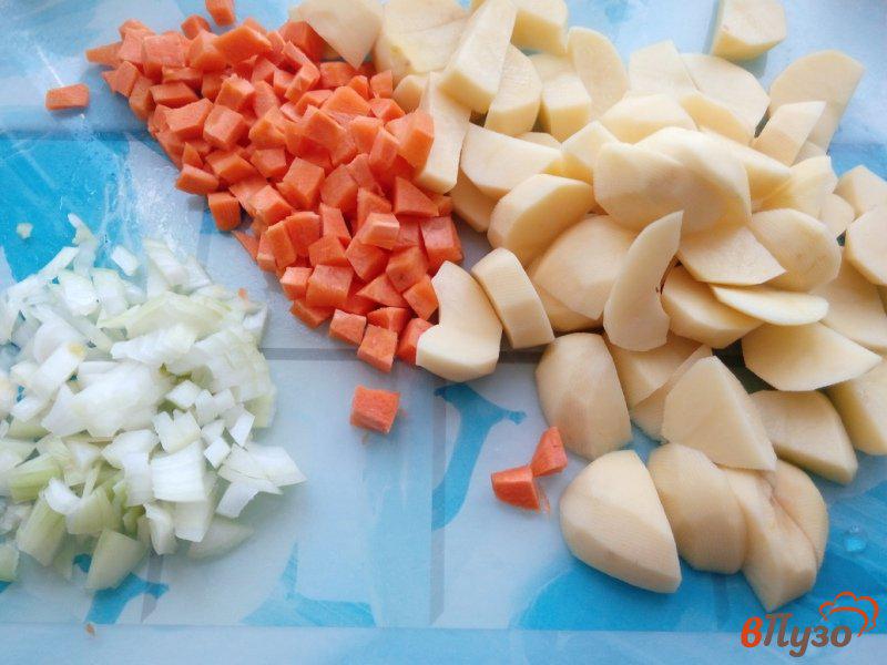 Фото приготовление рецепта: Томлёные овощи в мультиварке с давлением шаг №2