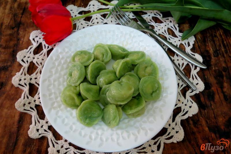 Фото приготовление рецепта: Зелёные пельмени на натуральном соке шаг №15