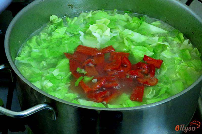Фото приготовление рецепта: Суп на свинине с овощами шаг №11