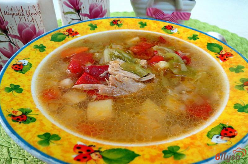 Фото приготовление рецепта: Суп на свинине с овощами шаг №13