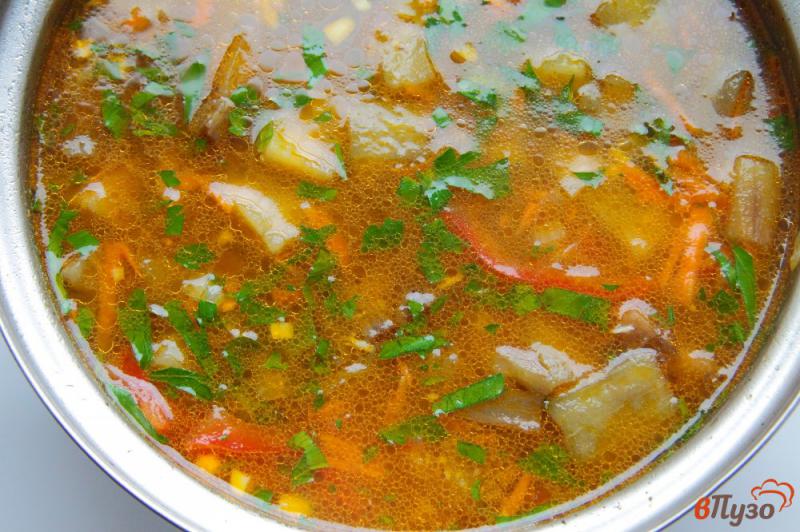 Фото приготовление рецепта: Суп с баклажанами на курином бульоне шаг №9