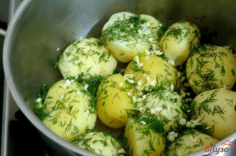 Фото приготовление рецепта: Молодой картофель с копчёной щековиной и зеленью шаг №9
