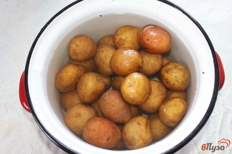 Фото приготовление рецепта: Картофель по - деревенски с салом и луком на костре шаг №1