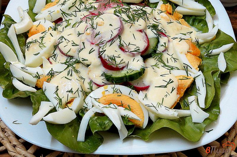 Фото приготовление рецепта: Салат из редиса по-французски шаг №7