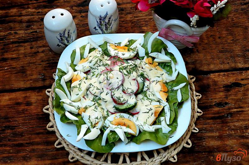 Фото приготовление рецепта: Салат из редиса по-французски шаг №8