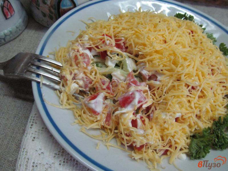 Фото приготовление рецепта: Салат «Майский» из курицы с сыром и овощами шаг №8