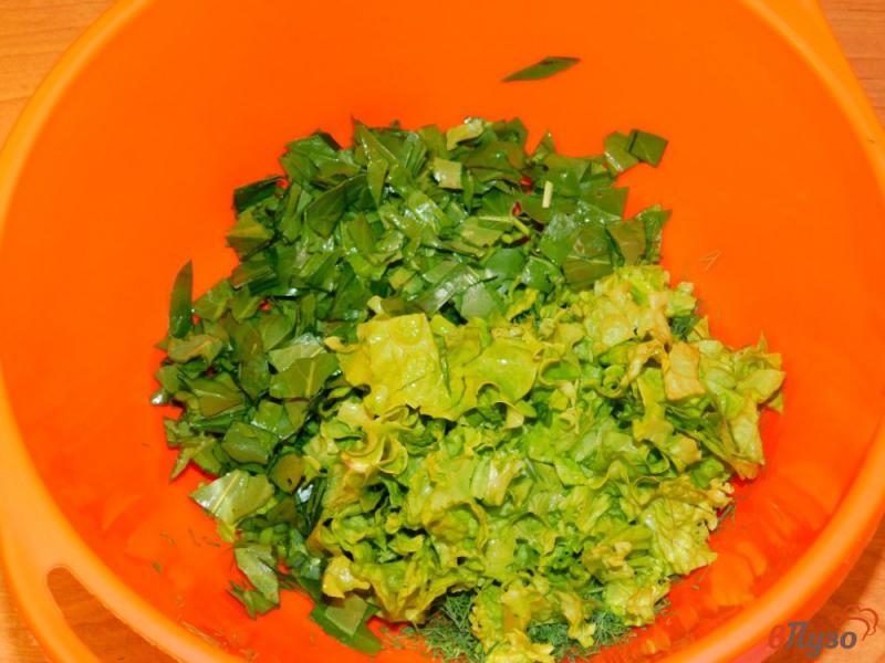 Фото приготовление рецепта: Салат с помидорами, кукурузой и зеленью шаг №3
