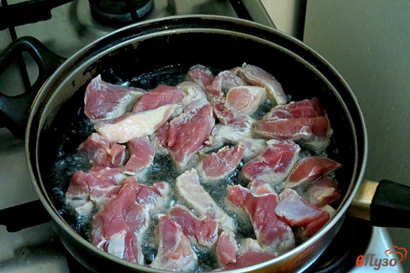 Фото приготовление рецепта: Поджарка из свинины с луком шаг №4
