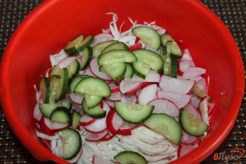 Фото приготовление рецепта: Салат из пекинской капусты с редиской, зеленью и огурцом шаг №3