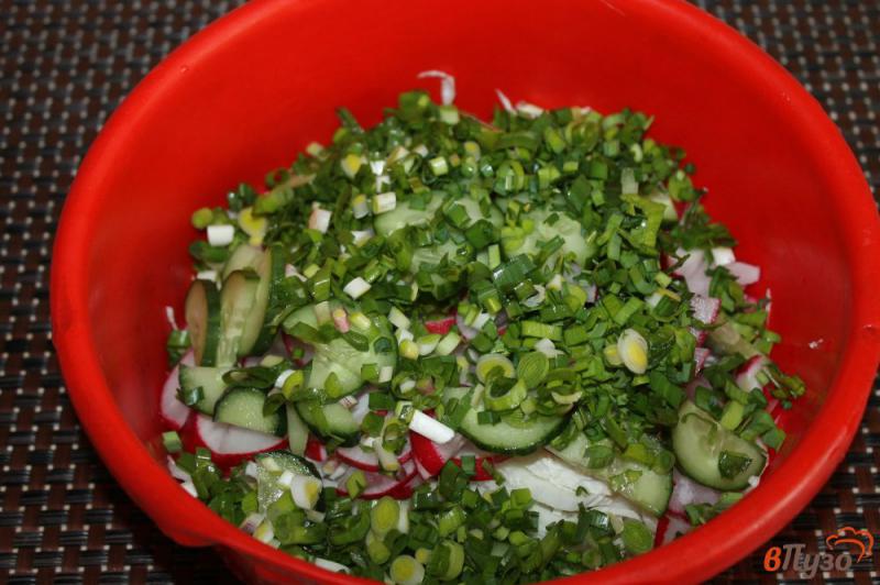 Фото приготовление рецепта: Салат из пекинской капусты с редиской, зеленью и огурцом шаг №4