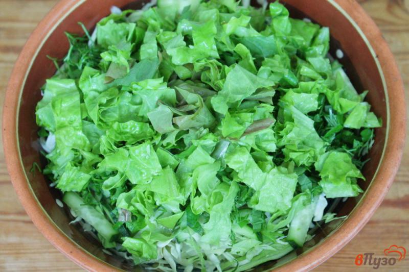 Фото приготовление рецепта: Салат из капусты и огурца со сметаной и чесноком шаг №5