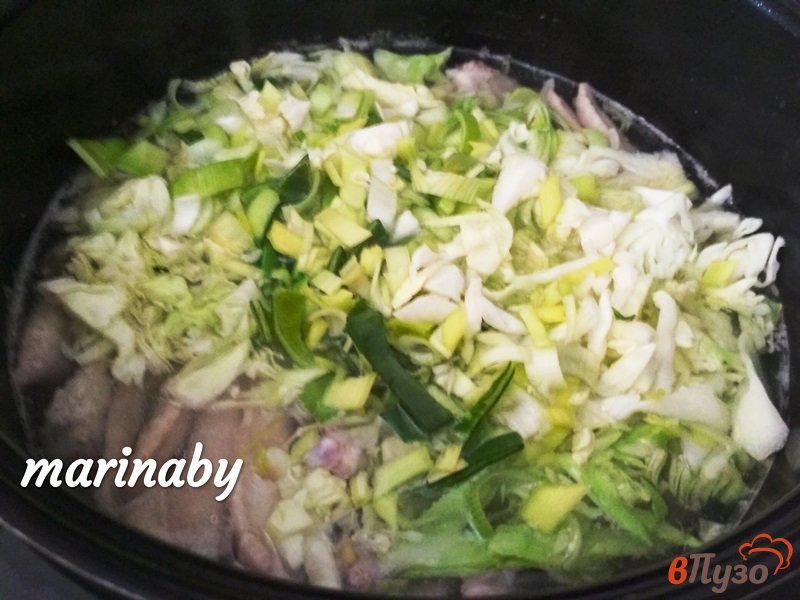 Фото приготовление рецепта: Щи из ранней капусты и овощей шаг №2