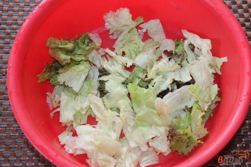 Фото приготовление рецепта: Салат из листовой зелени с овощами и луком шаг №1