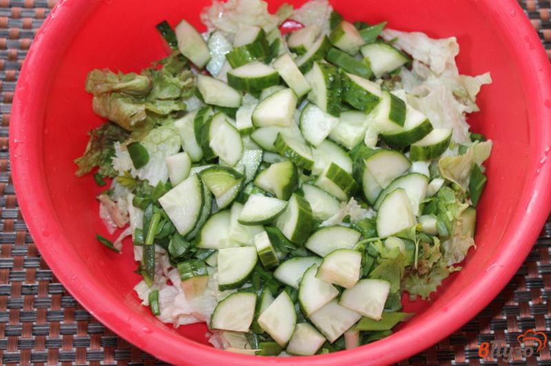 Фото приготовление рецепта: Салат из листовой зелени с овощами и луком шаг №3