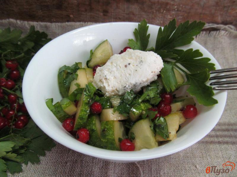 Фото приготовление рецепта: Огуречный салат с красной смородиной шаг №7