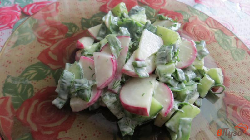 Фото приготовление рецепта: Салат с редисом и огурцами шаг №4