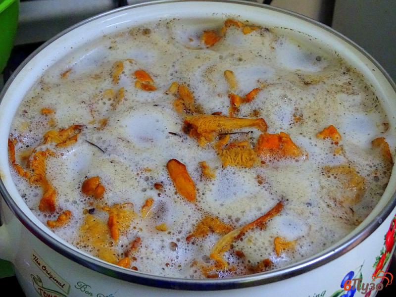 Фото приготовление рецепта: Заморозка лисичек на зиму шаг №4