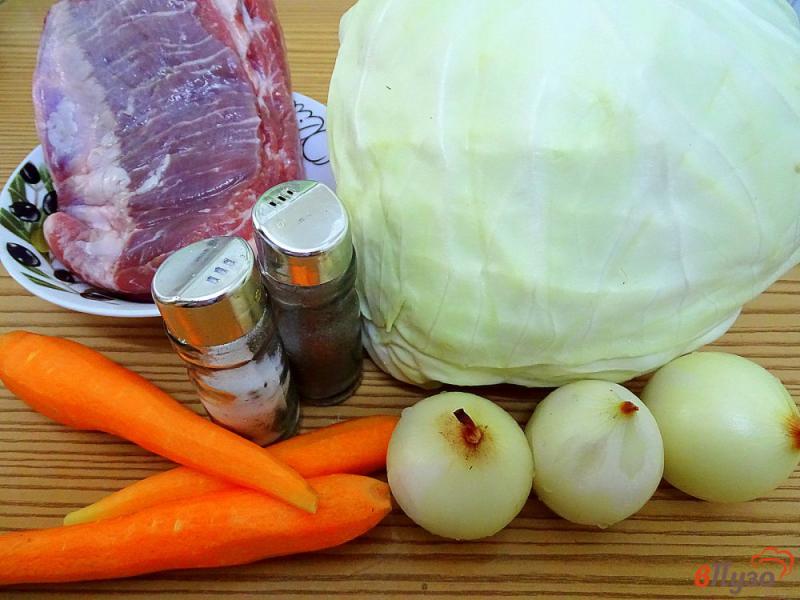 Фото приготовление рецепта: Капуста тушёная со свининой и помидорами шаг №1