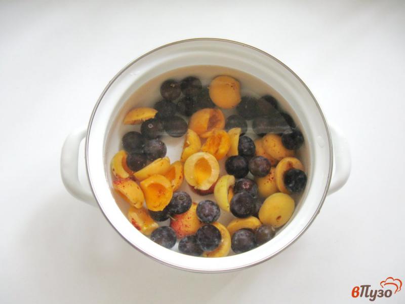 Фото приготовление рецепта: Кисель из абрикосов и алычи шаг №3