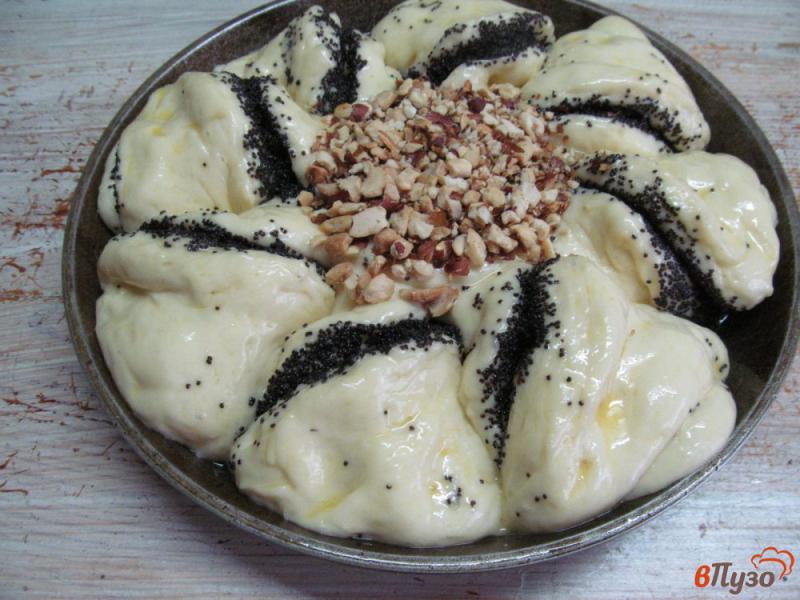 Фото приготовление рецепта: Пирог с маком орехами и шоколадной пастой шаг №13