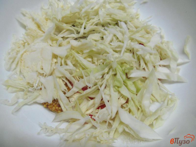 Фото приготовление рецепта: Салат из капусты с малиной и базиликом шаг №2