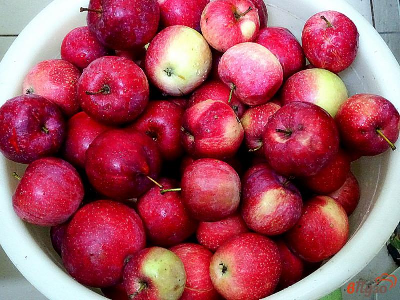 Фото приготовление рецепта: Яблочная начинка без сахара (на зиму) шаг №1